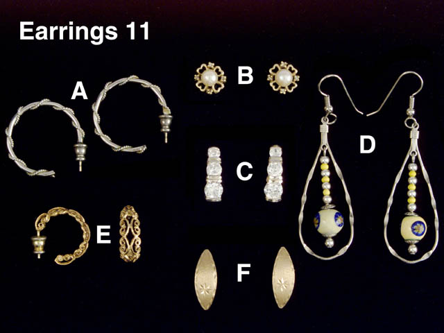 Precious and Costume Earrings