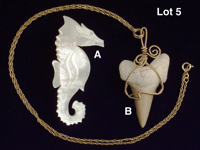 Seahorse Pin & Shark